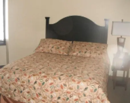 Tamarack Club Holiday Valley Condo 1Br 1BA Ski in Ski Out Golf Sleeps 4