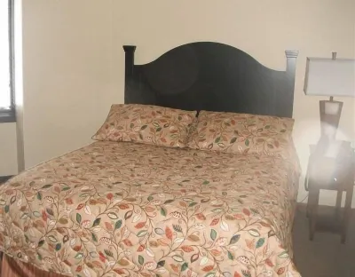 1BR 1BA Full Kitchen Ski In/Out Golf Tamarac Club Holiday Valley Condo Sleeps 4 홀리데이 밸리 리조트 주변 호텔