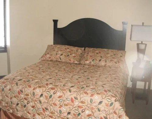 1BR 1BA Full Kitchen Ski In/Out Golf Tamarac Club Holiday Valley Condo Sleeps 4