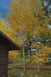 Your all-season escape minutes from Grand Lake and the West Entrance of RMNP.