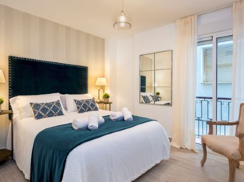 Spacious Apartment in the City Center. Plaza de las Flores