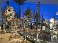 Katsuyama Natural Hot Spring Mizubasho Hotels in Katsuyama