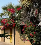 リゾート カノア ド クワンザ のホテル