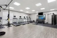 Hampton Inn by Hilton Huntley Chicago - Kuntosalit