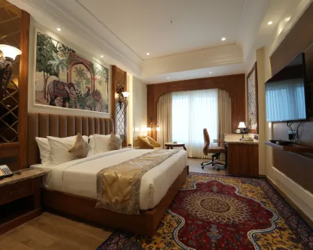 Hotel Maharaja Palace Rohtak Hotels in Rohtak