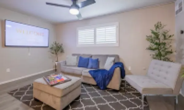 Beautiful Contemporary Suite #15