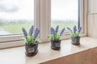 Spacious Country House for 14, Holywell, No Deposit - Bintang 3