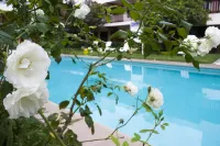 Hotel Puerta Del Sol Guadalajara - Pool