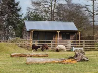 Beech Tree Cabin