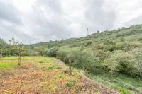 Paraíso rural em Bucelas