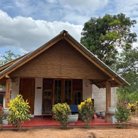 Jungle Eco Lodge & Safari