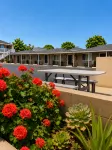 Rockview Inn and Suites