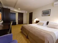 Panorama Hotel Hotels in Tver'