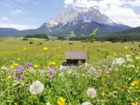 Pension Garni Hochmoos Hotels in Lermoos