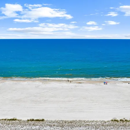 Pet Friendly Beach House - Lazy Palms