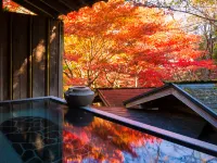 Koyoi Tenku Ni Asobu Shogetsu - Hot Springs
