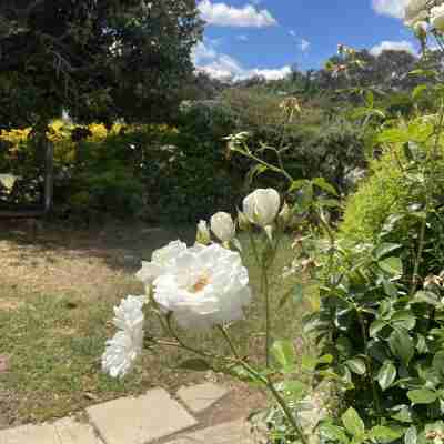 Charming 3 Bedroom Home in Garran, Perfect for Families and Groups Hotel Exterior