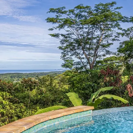 Newly Listed Marvelous Jungle Oasis with Ocean Views