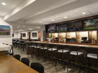 Hilton Chicago O'Hare Airport - bar
