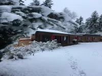Overlook Inn & Cabins - Wifi