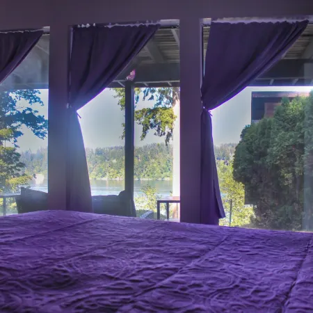 Lavender Oceanview Retreat