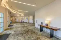 Doubletree by Hilton Midland West Loop I-250 - 4-Star