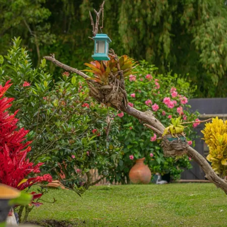 Finca Hotel San Isidro