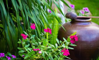 a variety of potted plants , including flowers and greenery , are displayed in a garden setting at MH Cherish Homestay
