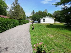 A Beautiful Cottage in The Heart of The Kawarthas
