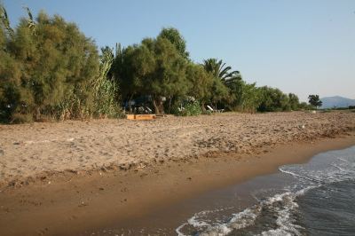 a sandy beach with a boat in the distance and palm trees surrounding it , creating a picturesque scene at Hotel Summery