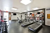 Hilton Garden Inn Austin/Round Rock - Gym