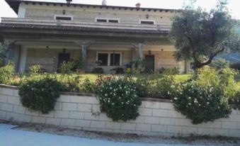 Poggio Dei Pettirossi Apartment