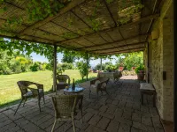 Ginestra