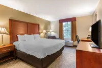 Comfort Inn Foxboro - Mansfield Hotels in Foxborough