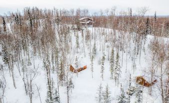 Birch Cabin