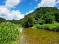 Hongcheon Hongcheon Ganglio Pension (Near Vivaldi Park)