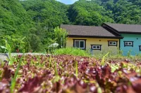 Jeongseon Deoksangi Morning Pension
