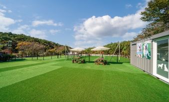 Taean (Anmyeondo) Evergreen Pension (with Large Dogs)