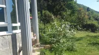 Cosy Park Apartment Hotels in Kaşüstü Mahallesi