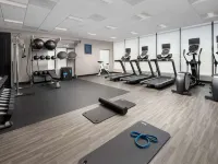 Hampton Inn Boston Logan Airport Chelsea Hotels near Central Square