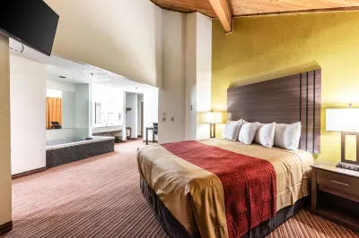 Econo Lodge Inn & Suites Hotels in McKinney