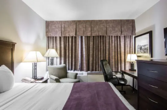 耶洛奈夫凱藝套房酒店 酒店