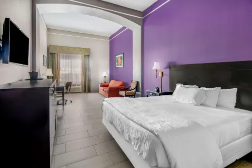 La Quinta Inn & Suites by Wyndham Alamo - McAllen East Hotels in San Juan