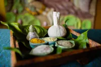 Sandalwood Luxury Villa Resort - spa