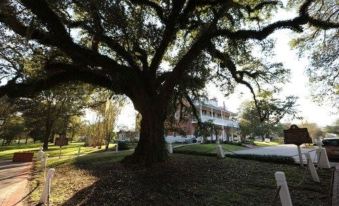 Old Castillo Bed and Breakfast