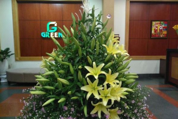 그린 호텔 붕 따우(Green Hotel Vung Tau)_5