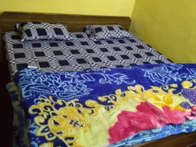 Hermitage in the Himalayas (5Min Walk to Badrinath Ji Temple) - Badrinath Hotels in Badrinath