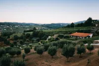 Hotel Rural Casa Dos Viscondes da Varzea - Mountain view