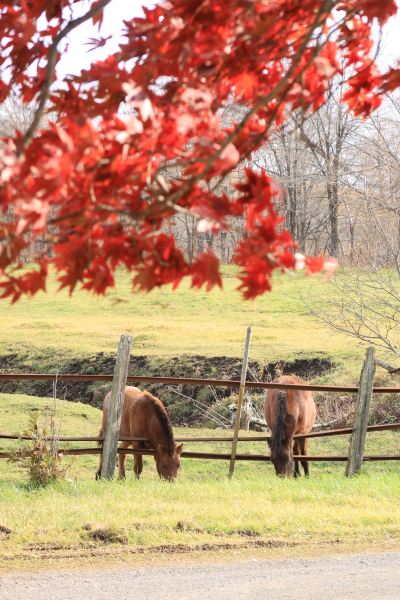 その他 ファームイン トーチ A棟の写真