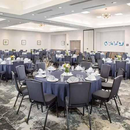 Hilton Garden Inn Dallas/Arlington South